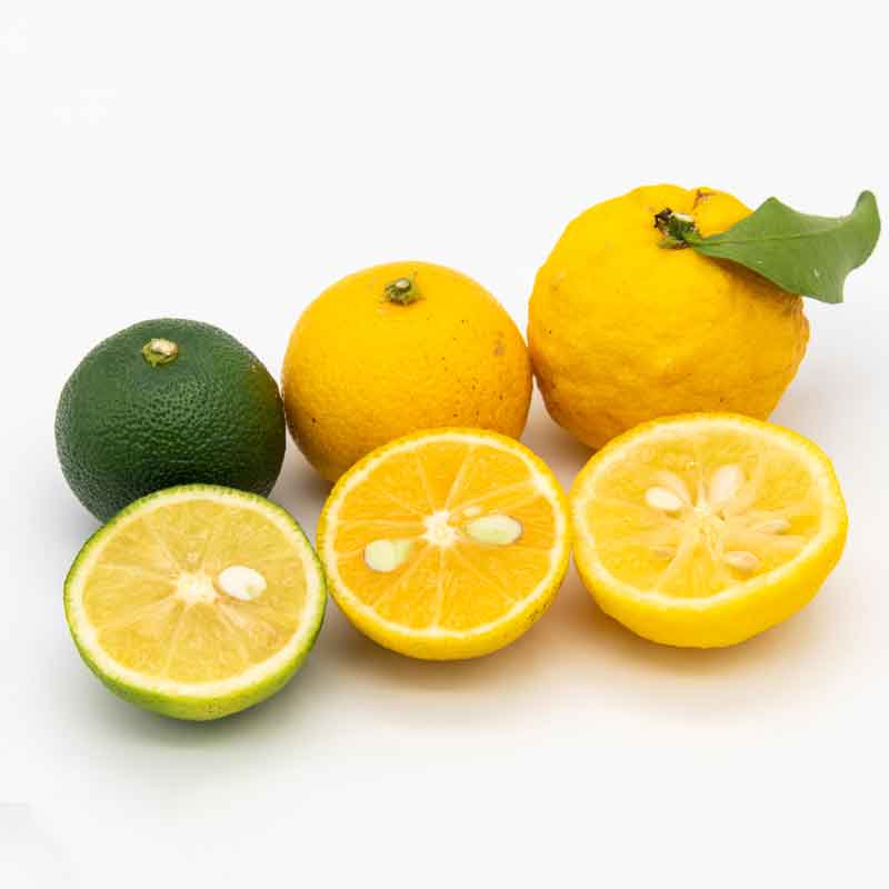 ������/���󥿥�衼����ȡӰ��ȴ��̥衼����� 3�糧�åȡ�ͮ�ҡ����������椳����