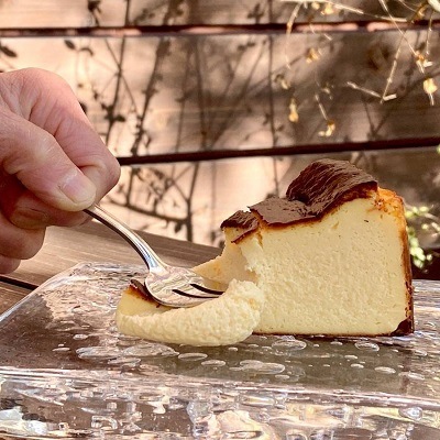 �ҹ���/VACHE�ӥХ������������������Х˥��4�������