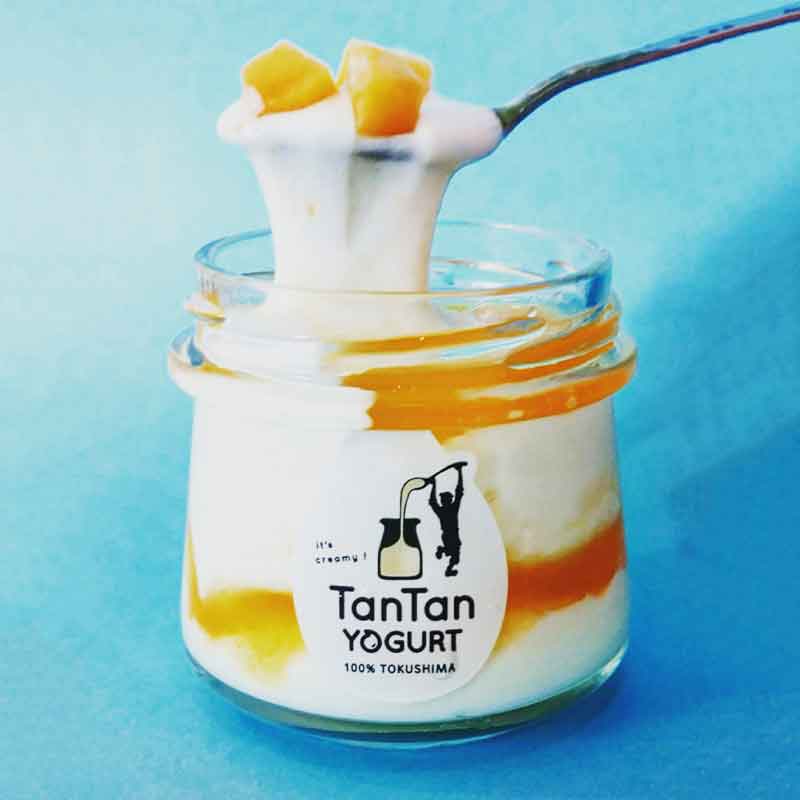 ������/���󥿥�衼����ȡӥ��󥿥�衼����Ⱥ̤� 10�ĥ��å�