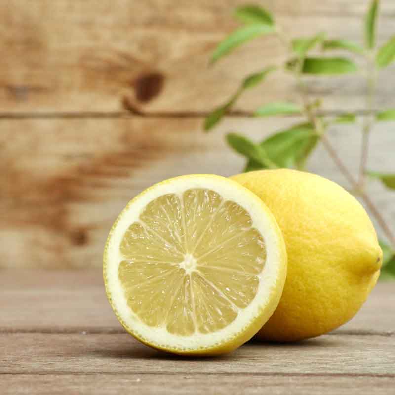 �ҹ���/�ȤӤ��޴��̶�����ӥ���եȥ��󥳡��饷���åף���