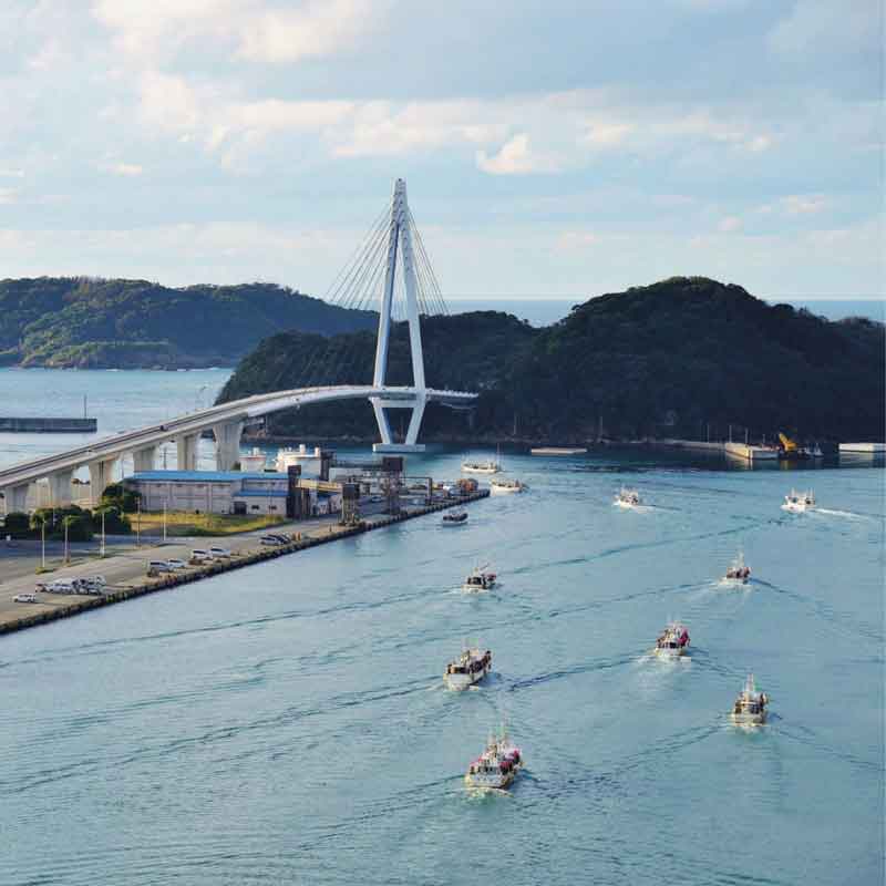 ���纬/�����饤�աӥ��󥳥��饻�å�1.0kg ������դ�