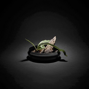 �����/�ϡ����ǥ����󥺡Ӥۤ��������ס�18�ѡ�