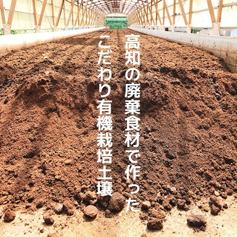 �ҹ���/̴���ϤȤ���ޡ��ں������󥸥㡼������ڿɸ��ۡ�4�ܡ�