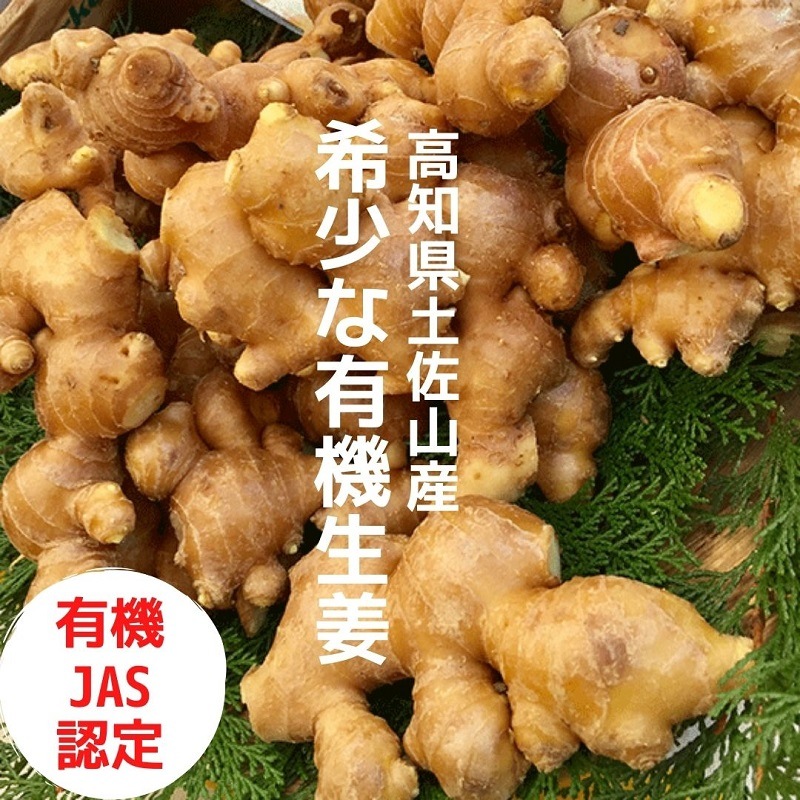 �ҹ���/̴���ϤȤ���ޡ��ں������󥸥㡼������ڿɸ��ۡ�4�ܡ�