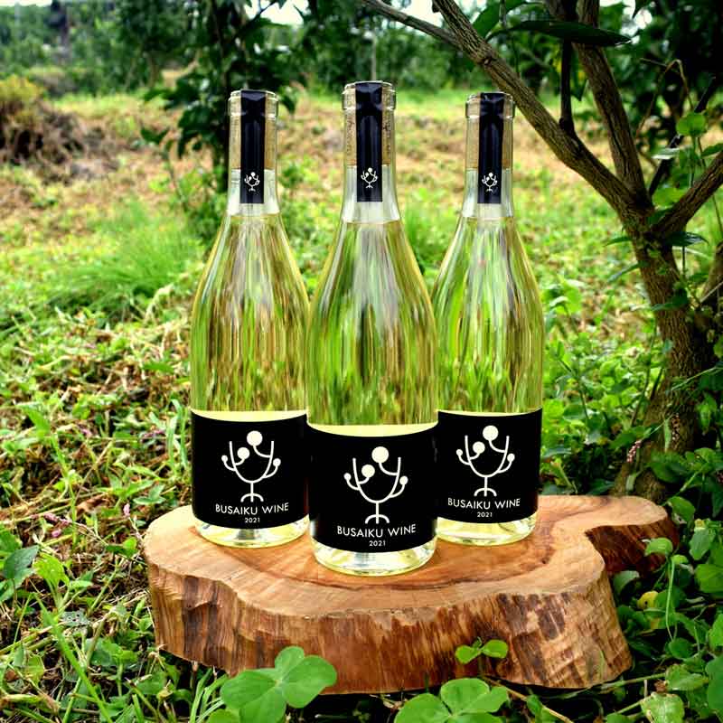 ҷ/Ĵ̡BUSAIKU WINE ܥåߤŤåȡ20̤ˤ䤤ޤ