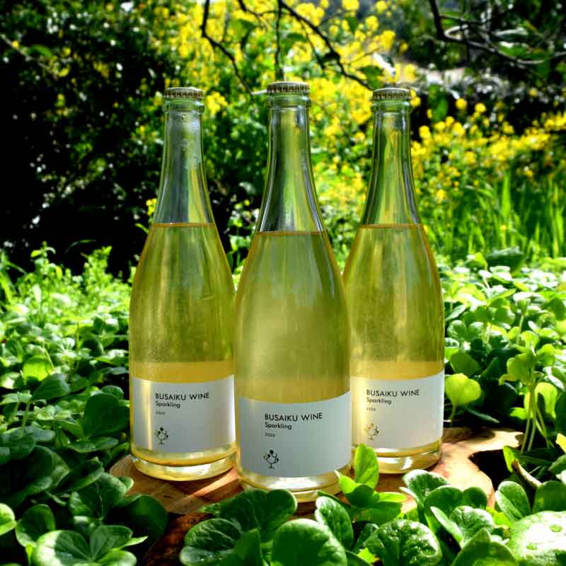 �ҷ���/���Ĵ��̡�BUSAIKU WINE sparkling ����ܥå������ߤ���Ť������åȡ�20��̤�������ˤ����䤤�����ޤ����