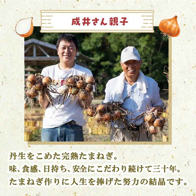 ʼ/롦ܥ̡ѥꥹ øϩ硡椵δϤޤͤäȤꥫ졼٤6ĥåȡ