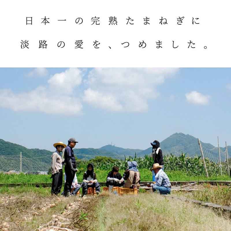 ʼ/롦ܥ̡ѥꥹ øϩ硡椵δϤޤͤäȤꥫ졼٤6ĥåȡ