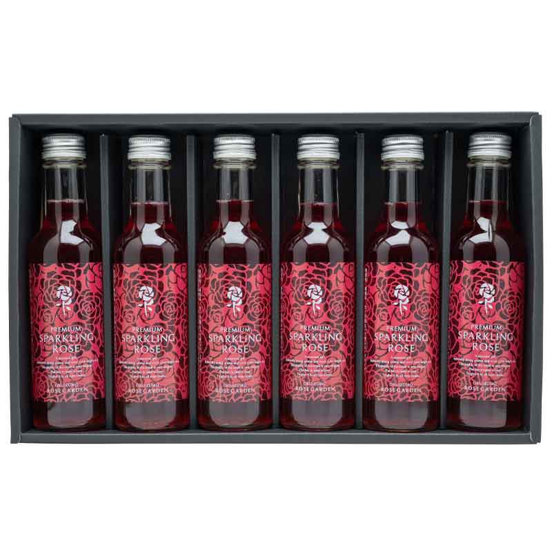 ���纬/���б��鯱�ӥץ�ߥ��ॹ�ѡ�����󥰥������������ꥮ�եȥ��å�