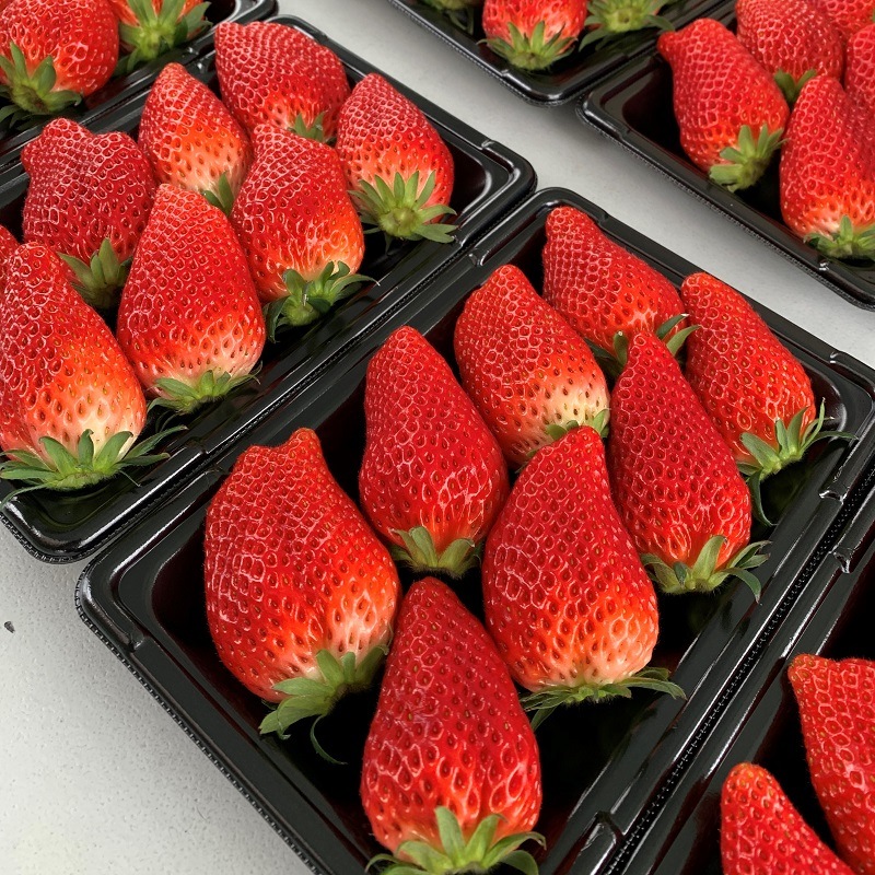 �Ҽ���/��������Ӥ������Х������ޡ��ޥ졼�ɥ��ե�