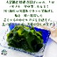 ��ʡ��/�ޥ������建�ù��ӳ��Ȥ���¢�狼��ʣ�������ˡߣ���