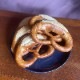 ʡ/GOTZELӵαƥץåĥХ5
