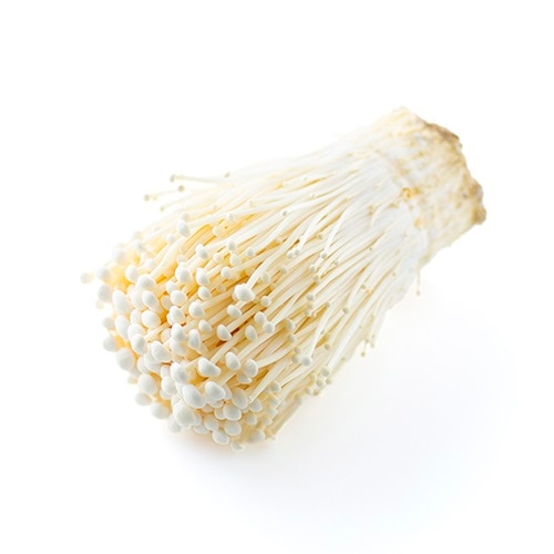 �ҵܺ�/�̸���Ӥ��Τ��ͤ��碌