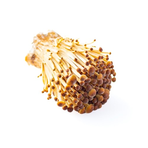 �ҵܺ�/�̸���Ӥ��Τ��ͤ��碌