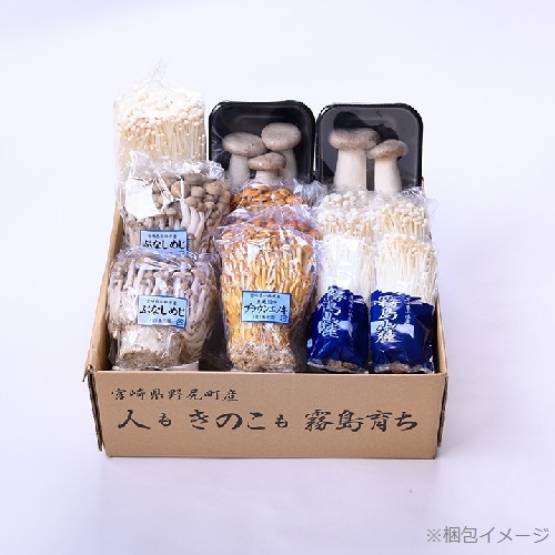 �ҵܺ�/�̸���Ӥ��Τ��ͤ��碌