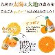 �ҷ���/ʡ������ӥǥ��ݥ�ޤ뤴�Ȥ��ܤ�10�ܥ��å�