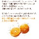 �ҷ���/ʡ������ӥǥ��ݥ�ޤ뤴�Ȥ��ܤ�10�ܥ��å�