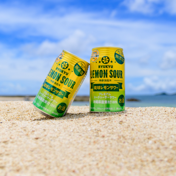 �Ҳ���/���Լ�¤���ΰ����󥵥���եȥ��åȡ�20��̤�������ˤ����䤤�����ޤ����