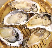 �Ҳ���/�쥹�ȥ��ͼΩ�����Υ�����������ʥ��եȣ����