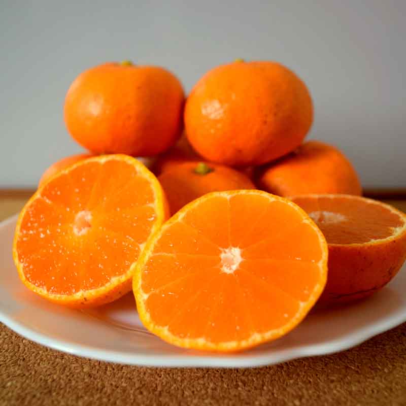 ҷ/Ĵ̡ӥɥ饤ߤǻܥå3