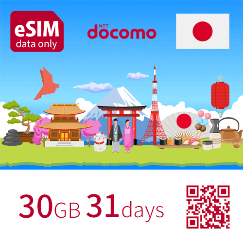 【eSIM】 日本国内用 データ通信専用 30GB 31日プラン