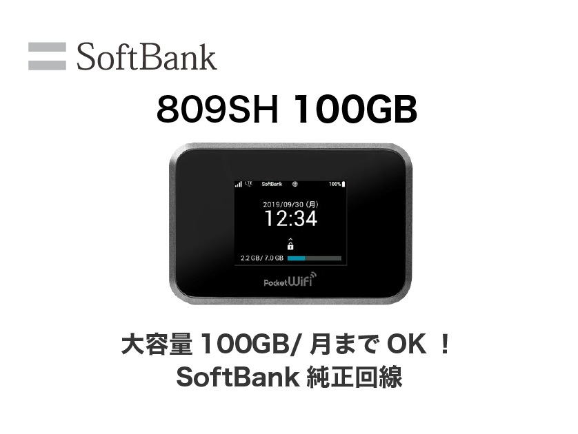【契約期間の縛りなし】SoftBank 809SH 100GB/月 レンタル
