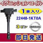 �����˥å���󥳥��� ���� ����1���� ���ȥ饹/�����󥰥�����/���륰����/�����Х�/����ե�/���塼�� ��������22448-1KT0A ec20b-1