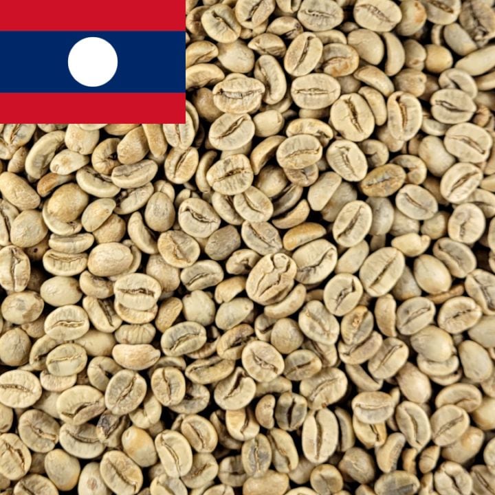 オーガニックコーヒー生豆 | ウインドファームのフェアトレード有機