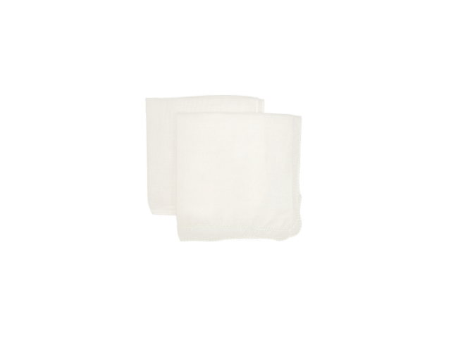 ﾔﾏﾊ ﾎﾟﾘｼﾝｸﾞｶﾞｰｾﾞ S  PGS2N