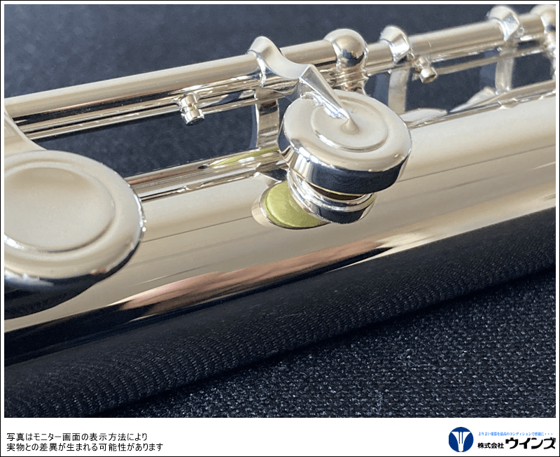 アルタス フルート TSⅡ