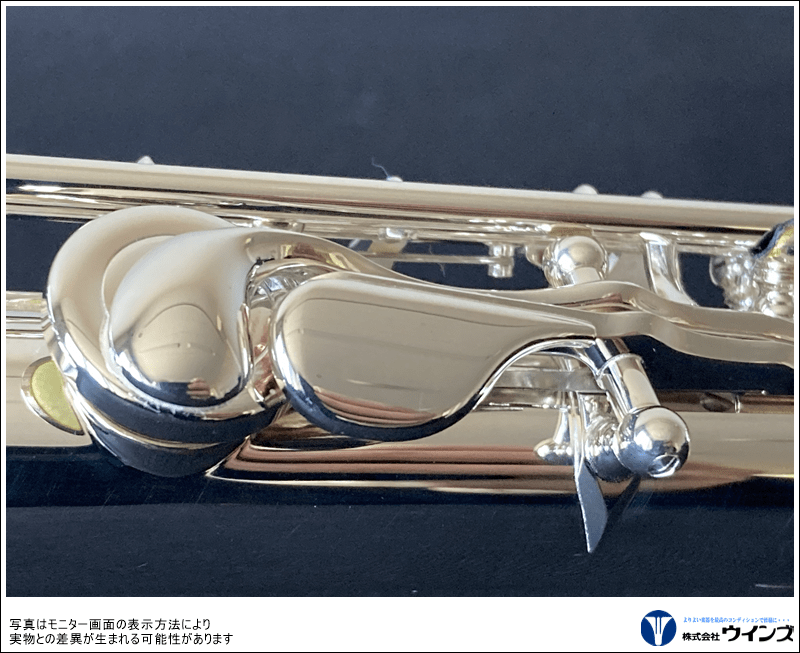 アルタス フルート TSⅡ