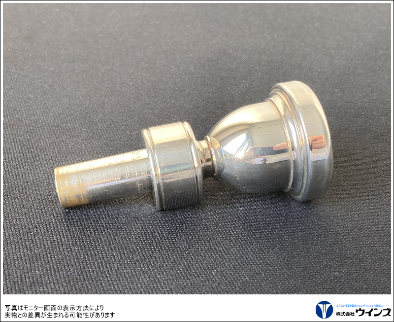 【アウトレット】サウンド　イン　プローブ