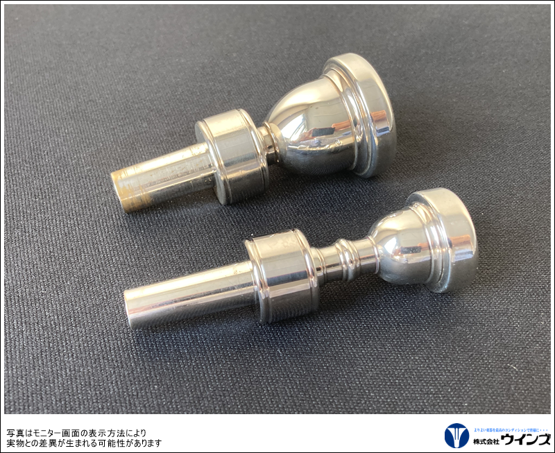 【アウトレット】サウンド　イン　プローブ