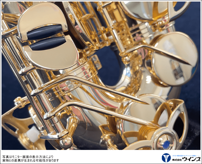 ヤナギサワ アルトサックス A-WO10 | 管楽器【新品】 | WINDS