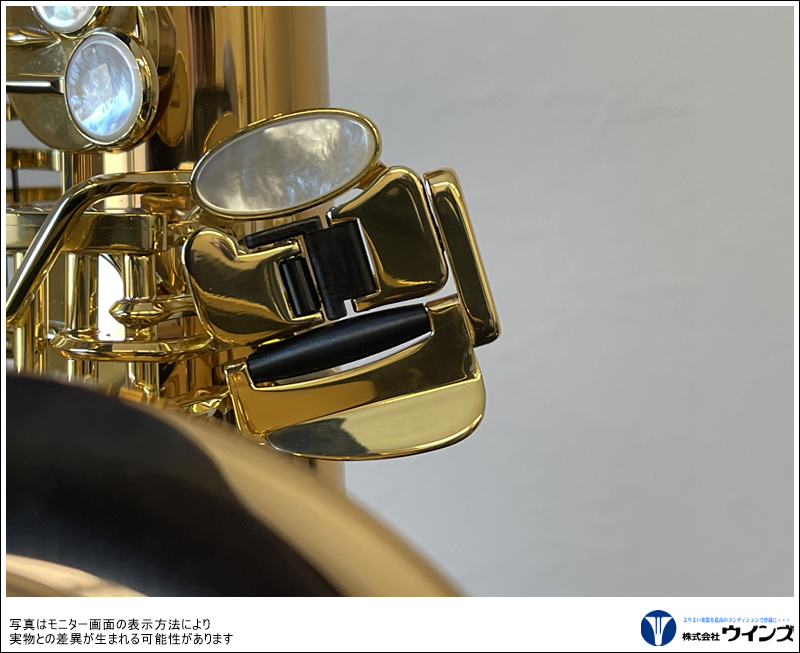 ヤナギサワ テナーサックス T-WO20 | 管楽器【新品】 | WINDS