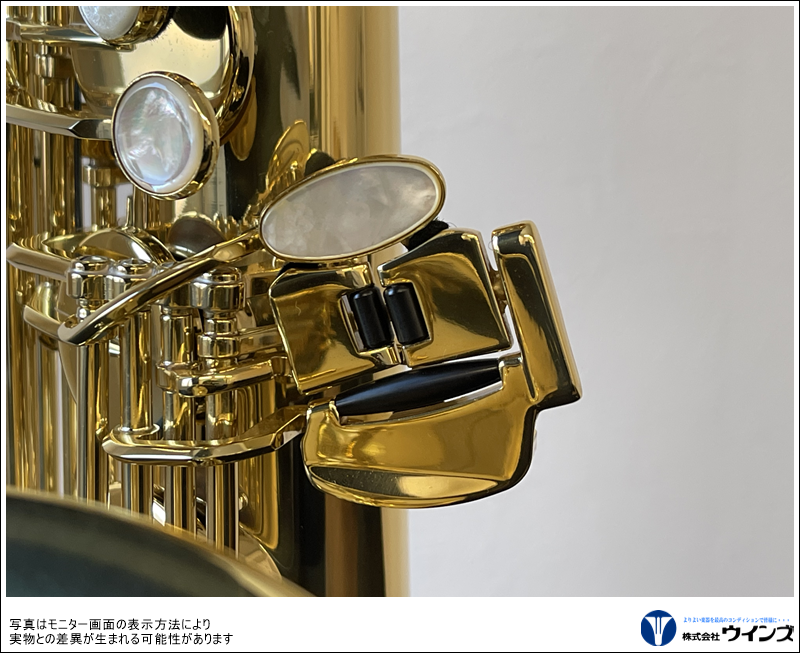 セルマー　テナーサックス　Axos（アクソス）