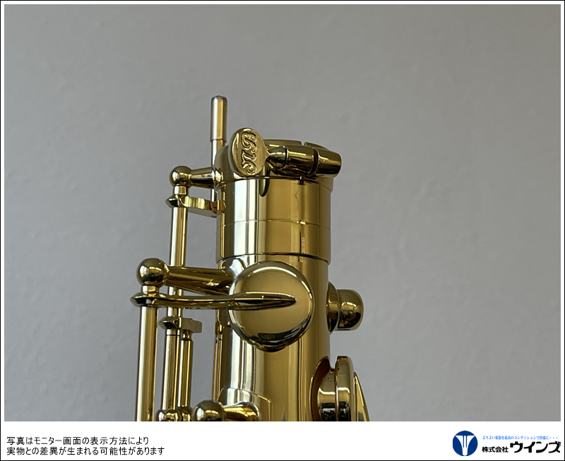 セルマー　テナーサックス　Axos（アクソス）