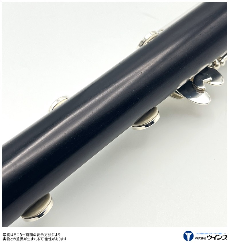 ビュッフェ・クランポン　Bbクラリネット R-13 【ギグバックパッケージ】