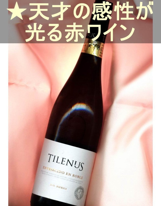 ƥ̥ ֥ ֡ɸ䥳ꡦڥ󡦥ӥ륽 Tilenus RobleBierzo
