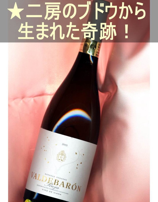 ǥХ ֥ 򡦿ɸڥ󡦥ꥪϡ Valdebaron Blanco 