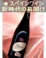 �ѥ� �ե����ƥ����Ρ��֡��ɸ����������ꡦ���ڥ��󡦥� �ޥ����ʥӥ� �� �ѥ��ˡ�Pago Florentino��La Mancha��Vino de pago��