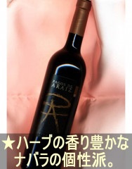 ѥ  饤 ꥢ󥵡֡ɸ䥳ꡦڥ󡦥ʥХ Pagos de Araiz CrianzaNavara