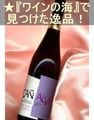 ���˥��� �����å��� ���֡��ɸ�����䥳�����ꡦ���ڥ��󡦥�٥� �ǥ� �����ǥ������ʡ� Canalva Cosecha ��Ribera del Guadiana��