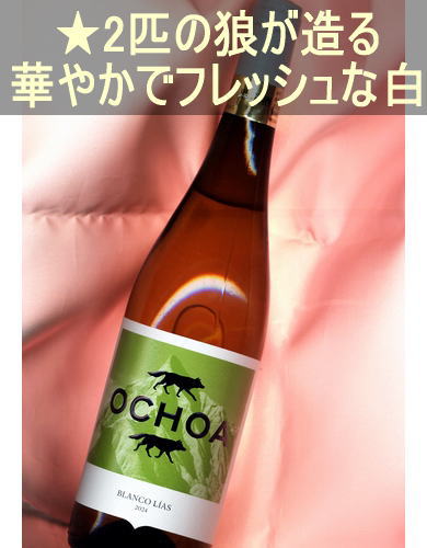 祢 ֥ 򡦿ɸڥ󡦥ʥХOchoa Blanco CALENDASNavarra