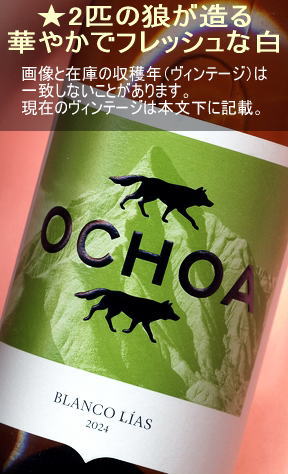 祢 ֥ ꥢ򡦿ɸڥ󡦥ʥХOchoa Blanco LIASNavarra