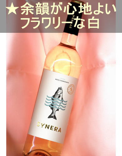 ���ͥ� ����ʥå��� �֥�� ���򡦿ɸ������ڥ��󡦥����롼�˥�� Synera Garnacha Blanca ��Cataluna��