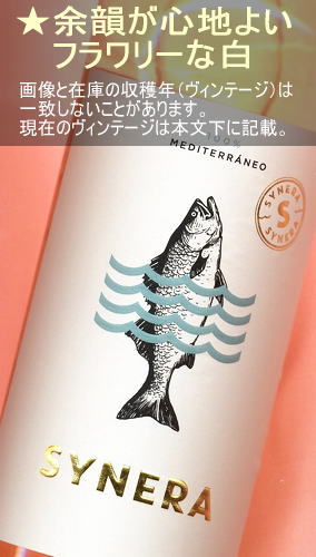 ���ͥ� ����ʥå��� �֥�� ���򡦿ɸ������ڥ��󡦥����롼�˥�� Synera Garnacha Blanca ��Cataluna��