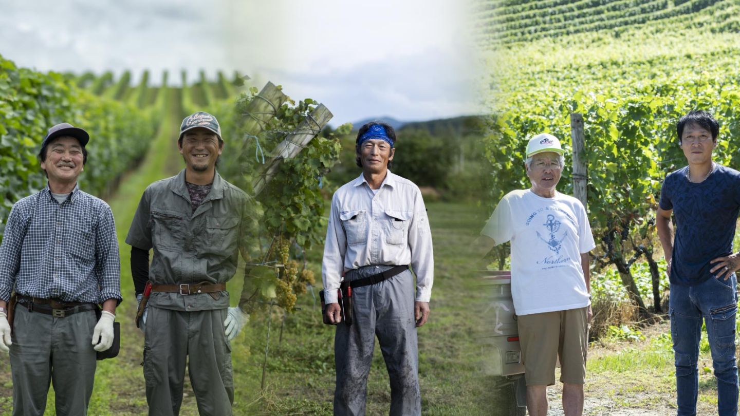 2026福袋 単独畑6本セット(オリジナルソムリエナイフ付き) | 2026福袋