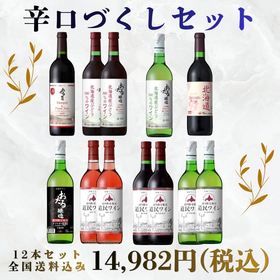 辛口づくし12本セット