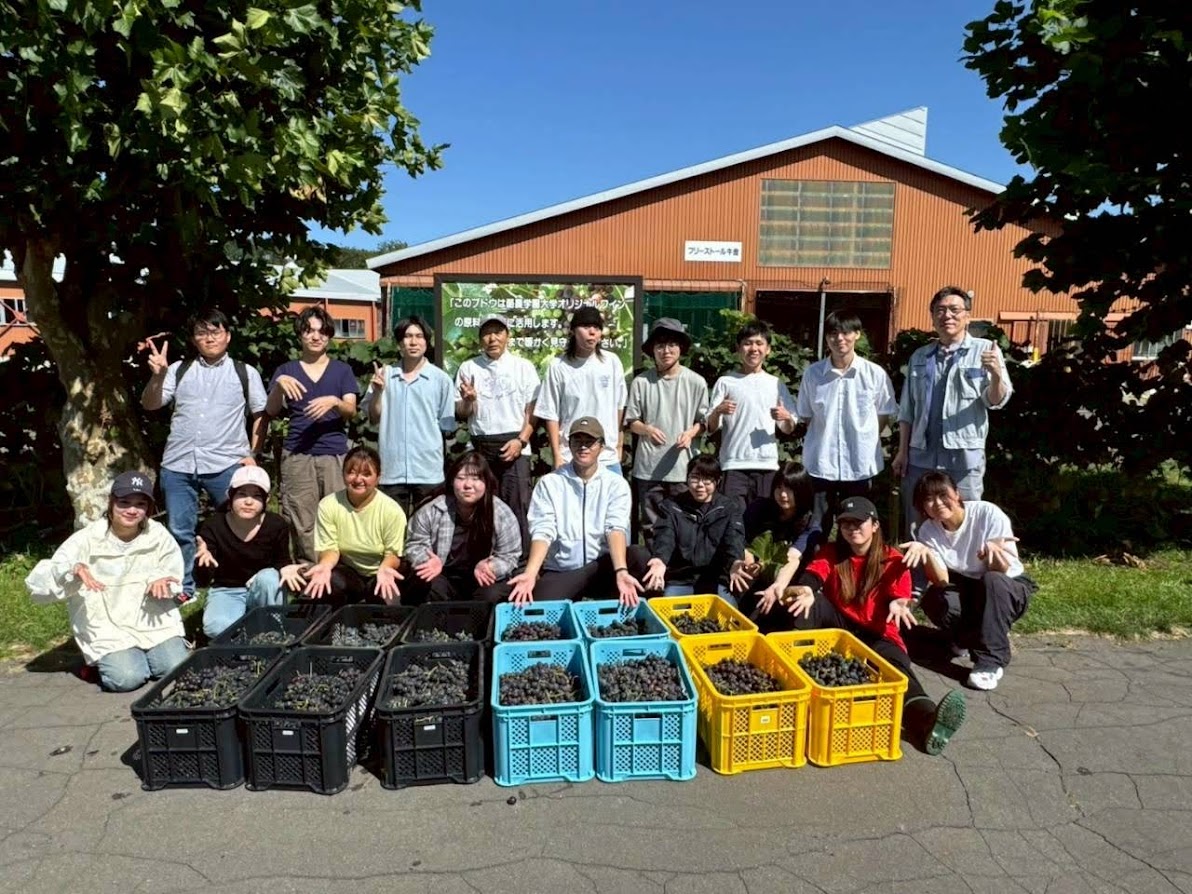 酪農学園大学ワイン(ロゼ・やや甘口） | すべての商品 | 北海道ワイン